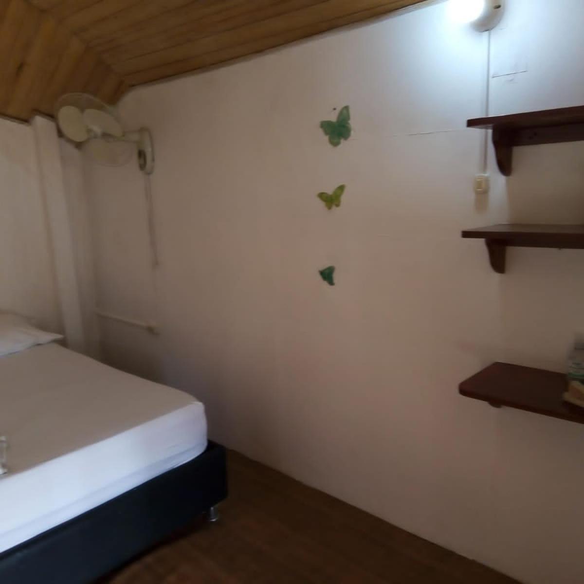 Hostal Paloma Cafe Palomino Εξωτερικό φωτογραφία