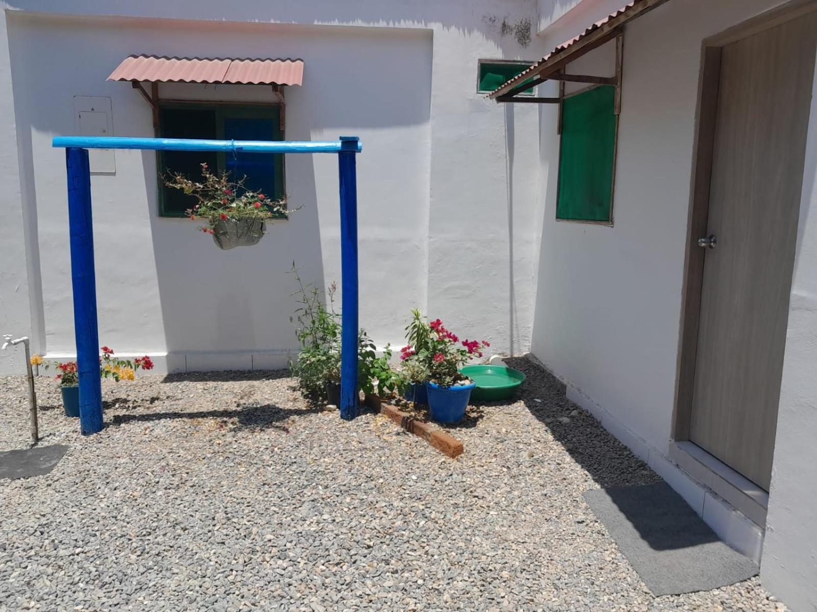 Hostal Paloma Cafe Palomino Εξωτερικό φωτογραφία